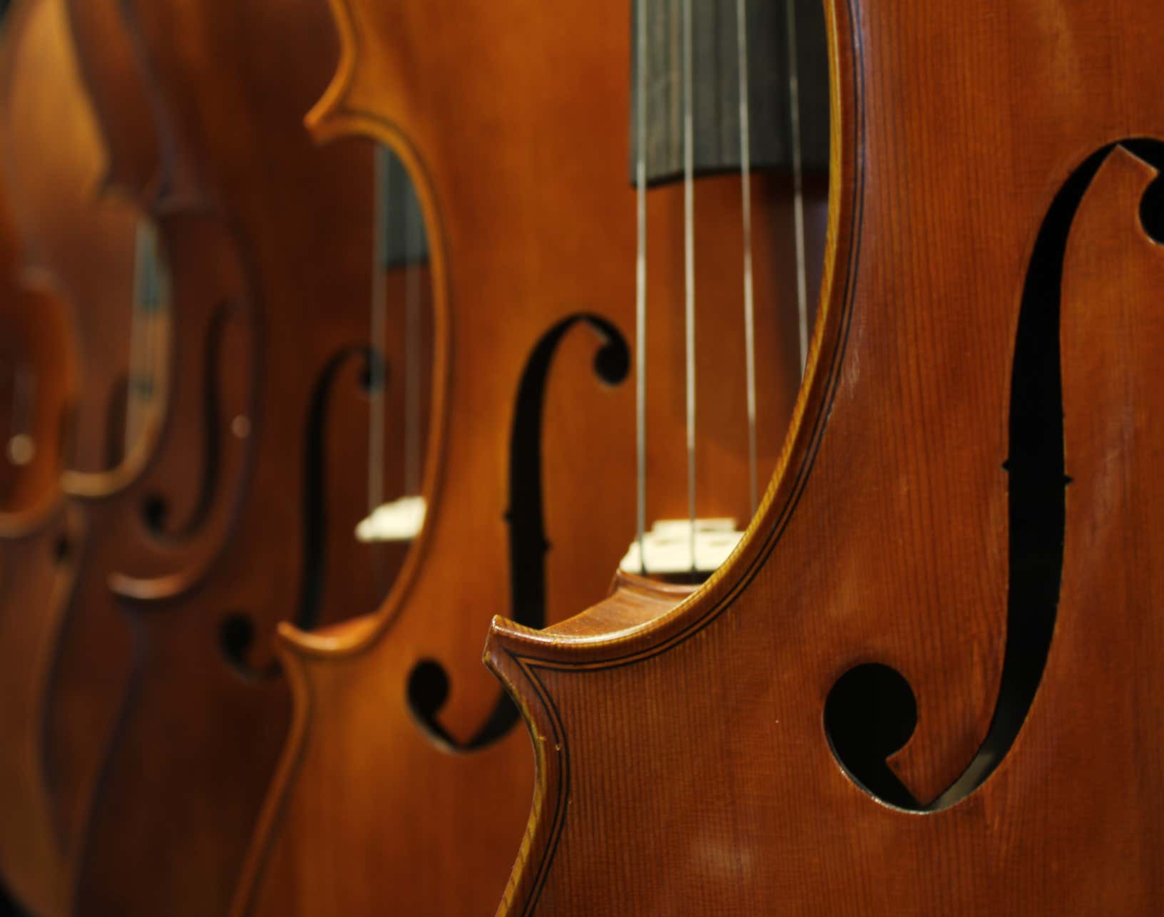 Celli, Cello, F Hole, Strings, Brige, Finger Board, 