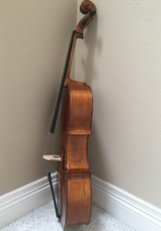 Left treble side of Cello