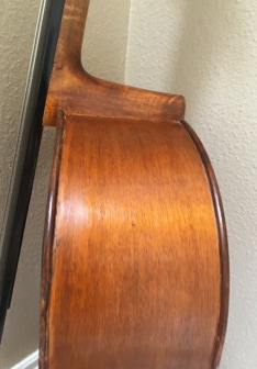 Cello Close-up, Upper right shoulder of body