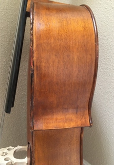 Cello Close-up Sholder to bridge rright side.