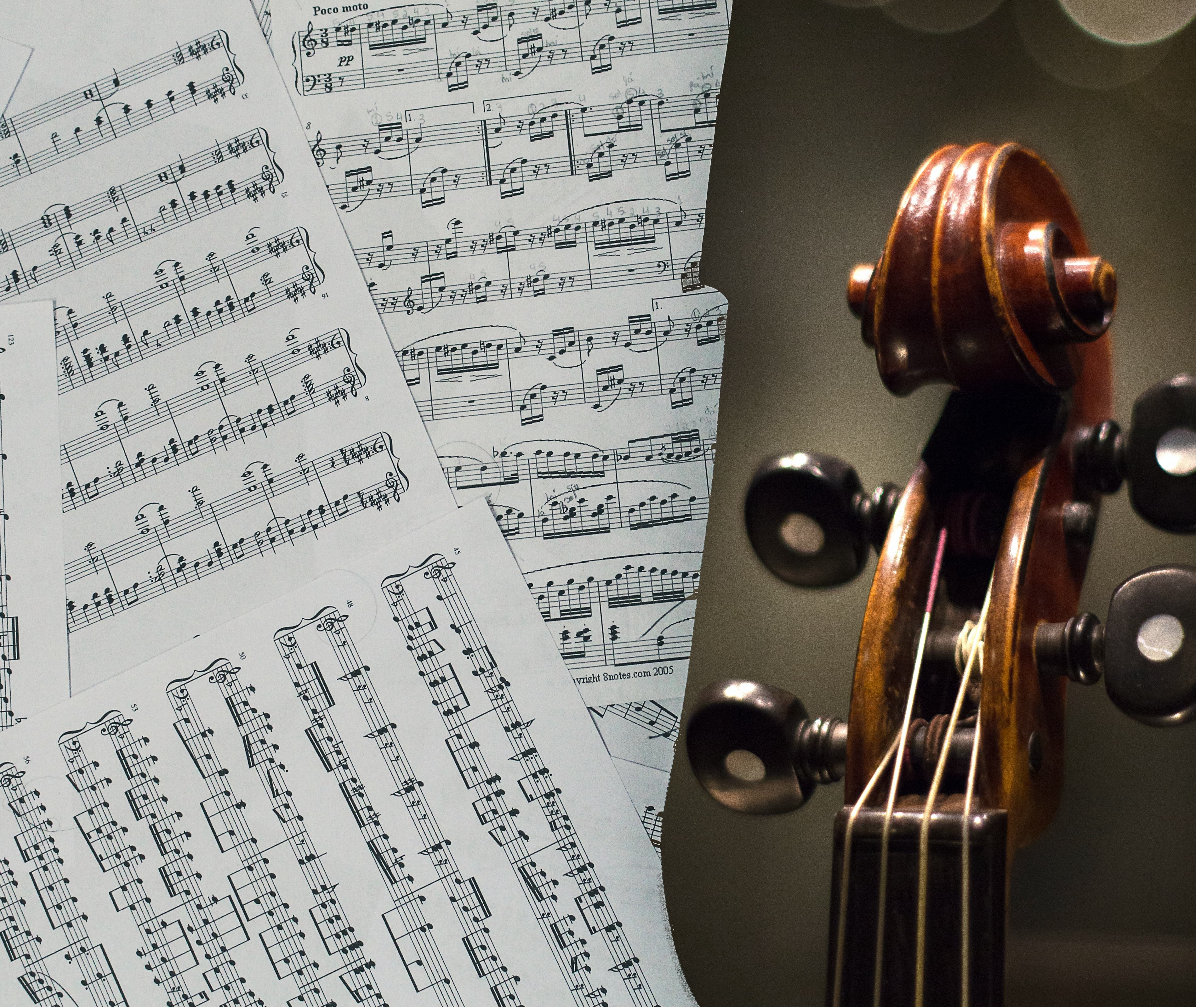 Scroll Head, Cello Scroll, Pegs, Strings, Nut, Cello Head, Cello Pegs, Cello Strings, Cello Nut , Cello Fingerboard